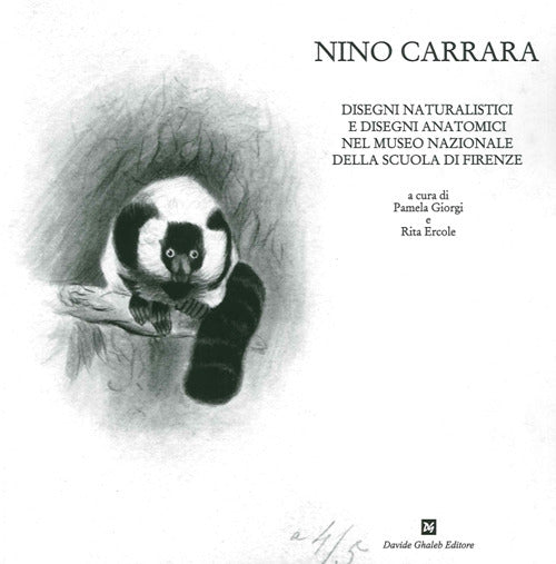 Cover of Nino Carrara. Disegni naturalistici e disegni anatomici nel Museo nazionale della scuola di Firenze