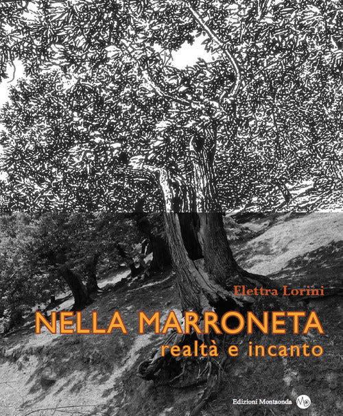 Cover of Nella marroneta. Realtà e incanto