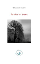 Cover of Istruzione per la notte. Raccolta poetica