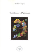 Cover of Camminando sull'ipotenusa