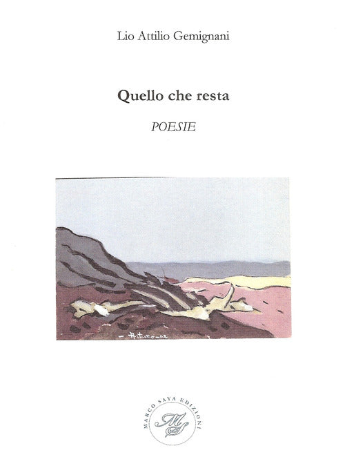 Cover of Quello che resta