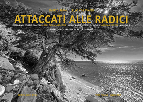 Cover of Attaccati alle radici. Immagini e storie di alberi della Sardegna. Images and stories of Sardinia's trees
