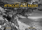 Cover of Attaccati alle radici. Immagini e storie di alberi della Sardegna. Images and stories of Sardinia's trees