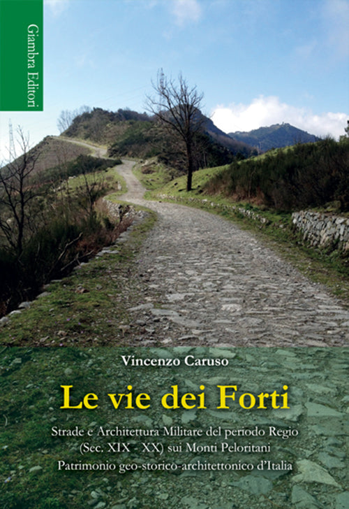 Cover of vie dei Forti. Strade e architettura militare del periodo regio (sec. XIX-XX) sui Monti Peloritani