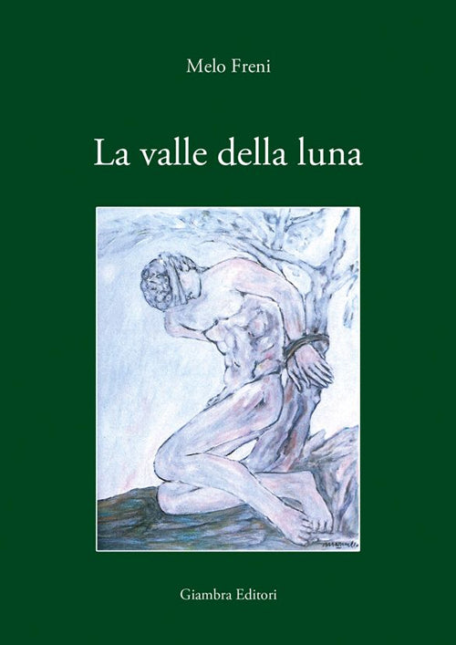 Cover of valle della luna