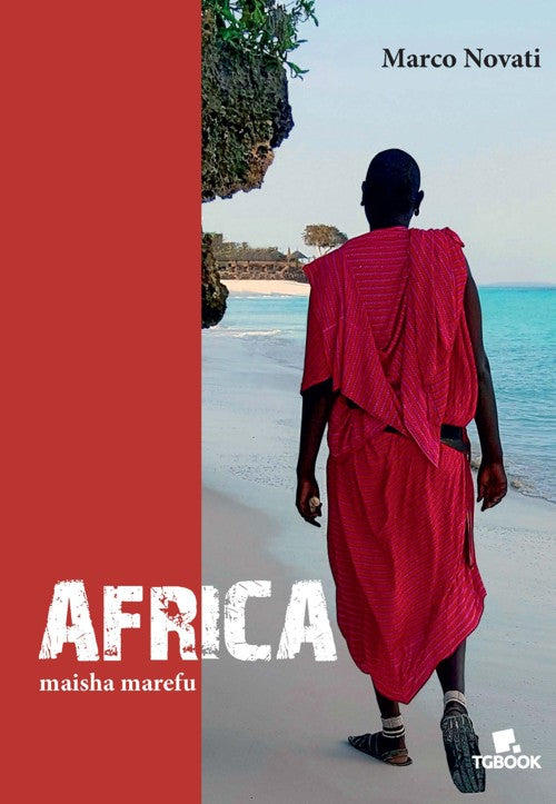 Cover of Africa maisha marefu