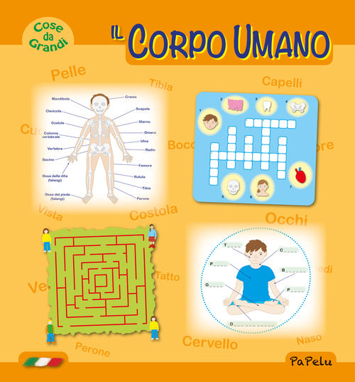 Cover of corpo umano