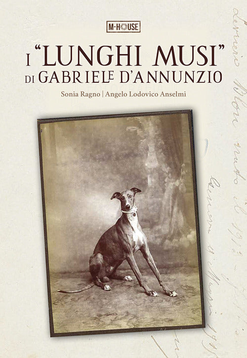Cover of «lunghi musi» di Gabriele d'Annunzio