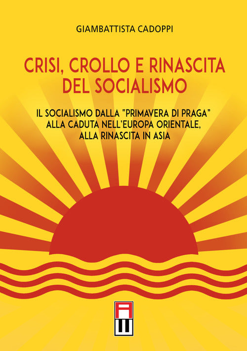 Cover of Crisi, crollo e rinascita del socialismo. Il socialismo dalla «primavera di Praga» alla caduta nell'Europa orientale, alla rinascita in Asia