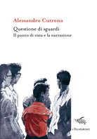 Cover of Questione di sguardi. Il punto di vista e la narrazione