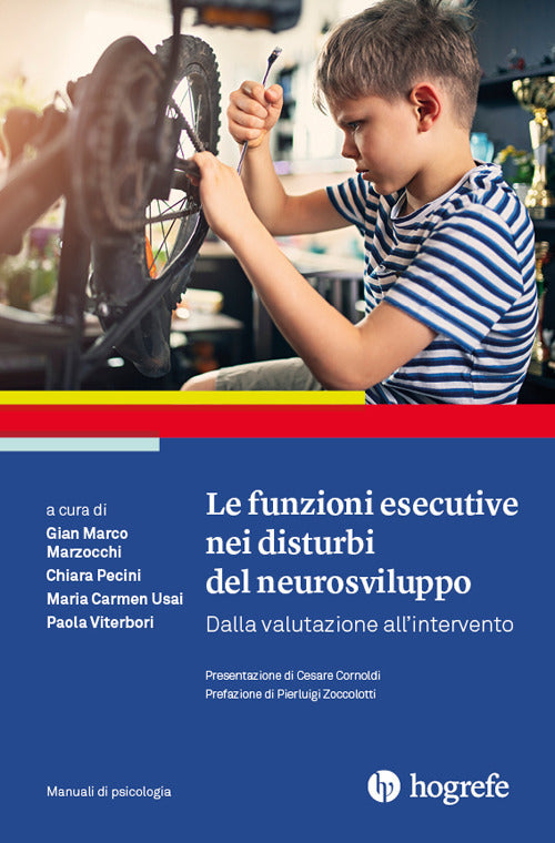 Cover of funzioni esecutive nei disturbi del neurosviluppo. Dalla valutazione all’intervento