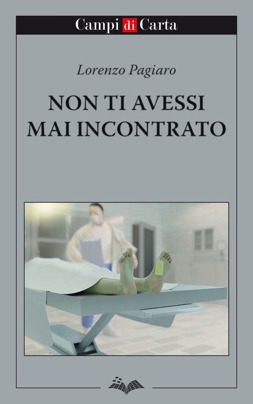 Cover of Non ti avessi mai incontrato