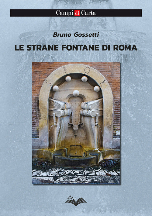 Cover of strane fontane di Roma