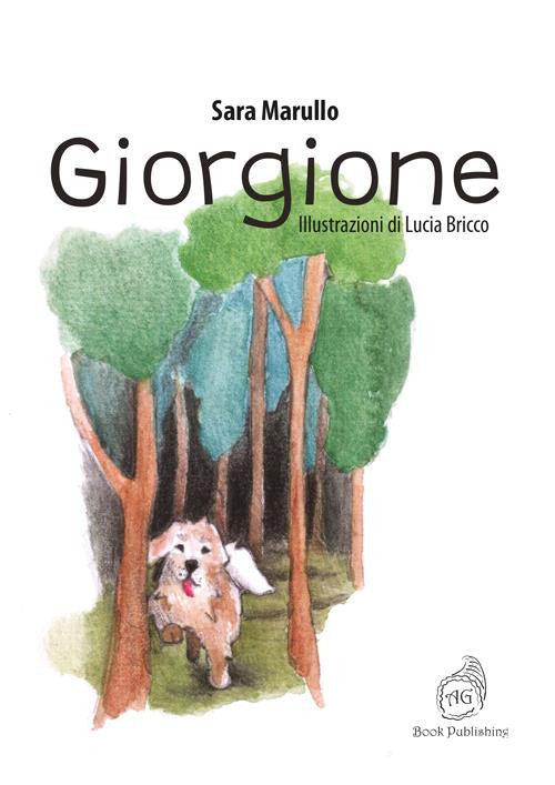 Cover of Giorgione