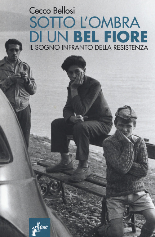 Cover of Sotto l'ombra di un bel fiore. Il sogno infranto della Resistenza