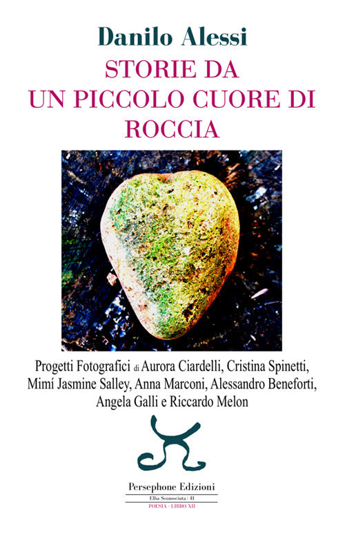 Cover of Storie da un piccolo cuore di roccia