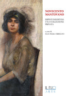 Cover of Novecento mantovano. Dipinti inediti da una collezione privata. Catalogo della mostra (Mantova, 17 aprile-19 giugno 2016)