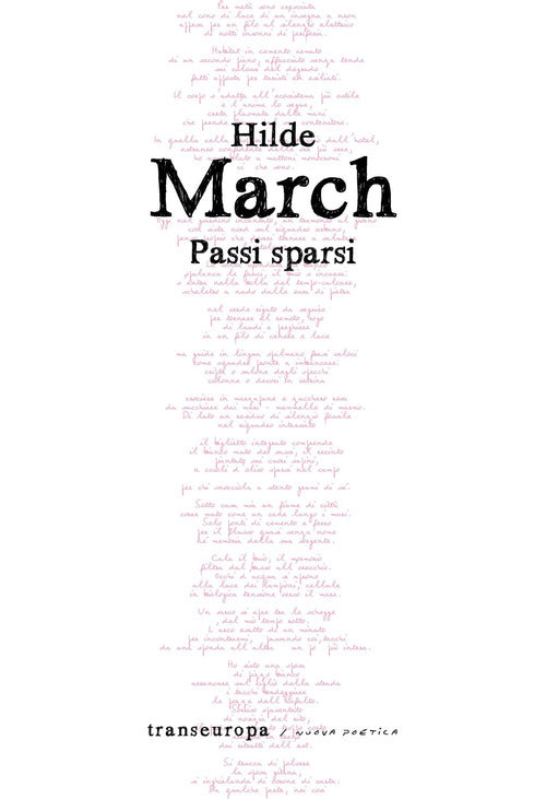 Cover of Passi sparsi. Taccuini del transitare