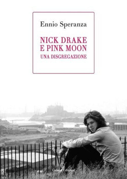 Cover of Nick Drake e Pink Moon. Una disgregazione