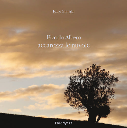 Cover of Piccolo albero accarezza le nuvole