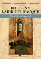 Cover of Bologna labirinti d'acque. Guida, itinerari e percorsi. Ediz. economica