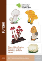Cover of Funghi. Chiave di identificazione delle specie fungine presenti nel territorio italiano