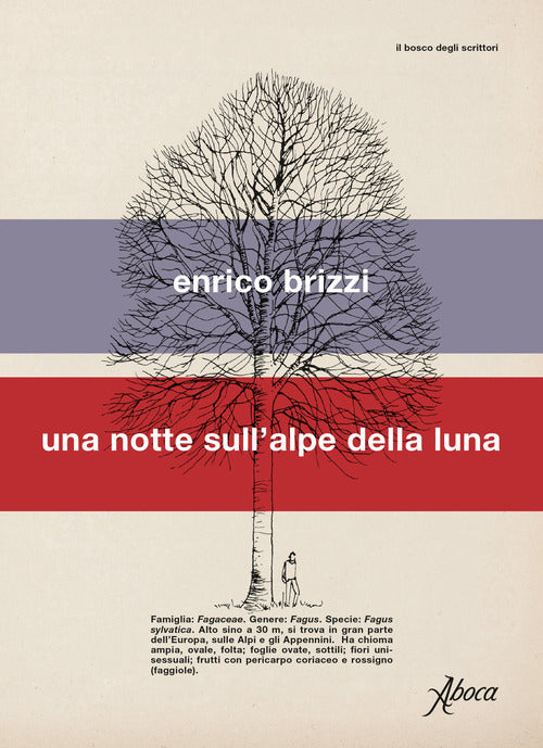 Cover of notte sull'alpe della luna