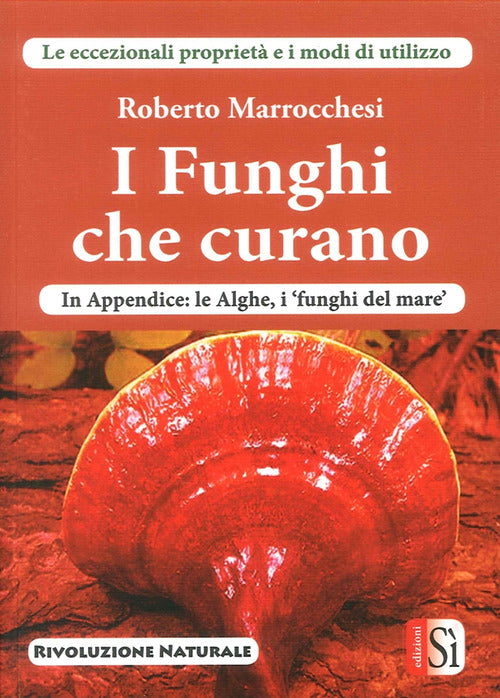 Cover of funghi che curano