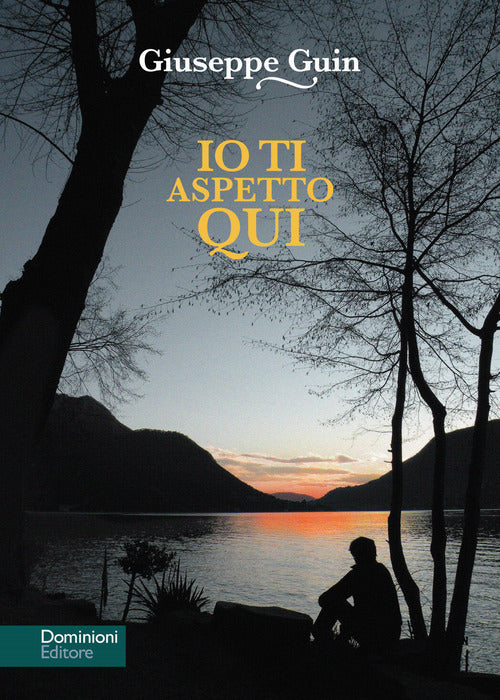 Cover of Io ti aspetto qui