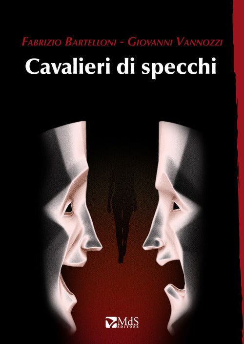 Cover of Cavalieri di specchi