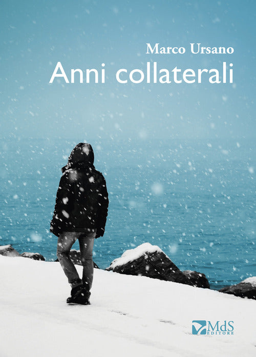Cover of Anni collaterali