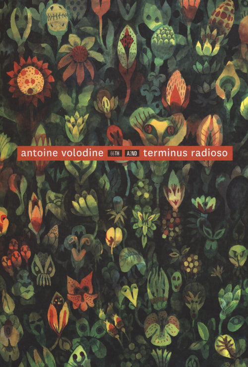 Cover of Terminus radioso