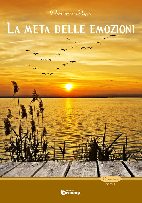 Cover of meta delle emozioni e il mare dei sentimenti