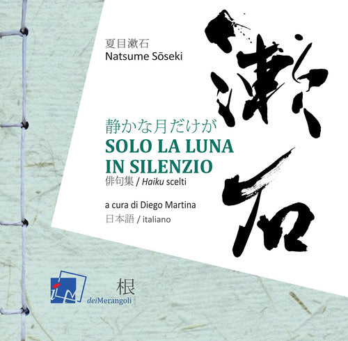 Cover of Solo la luna in silenzio