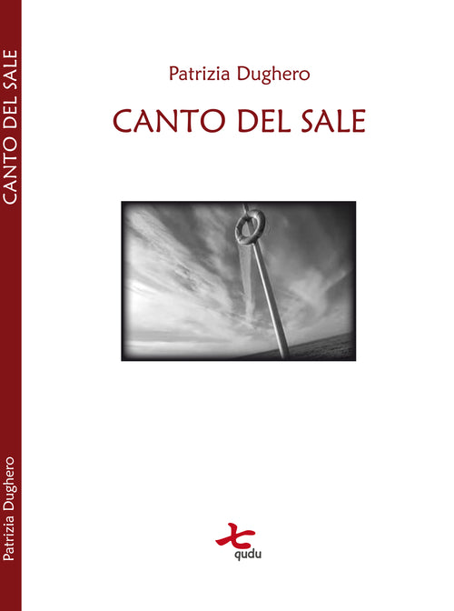 Cover of Canto del sale