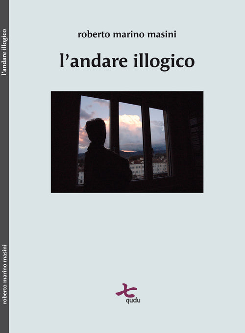 Cover of andare illogico