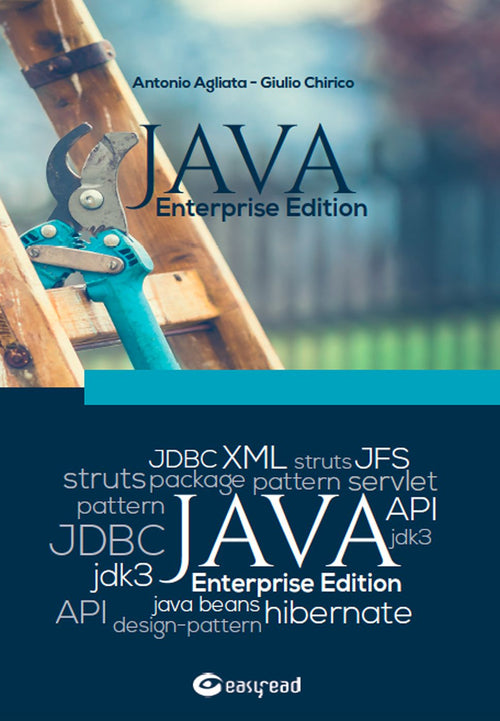 Cover of Java enterprise edition. Partendo da zero