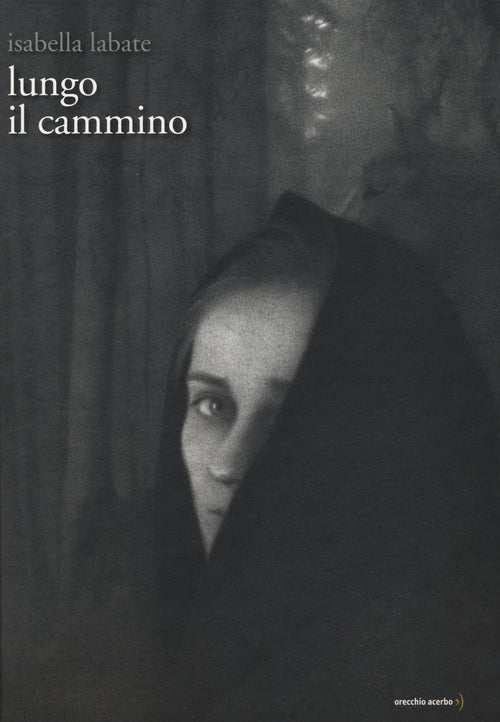 Cover of Lungo il cammino