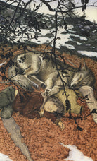 Cover of Fratello lupo