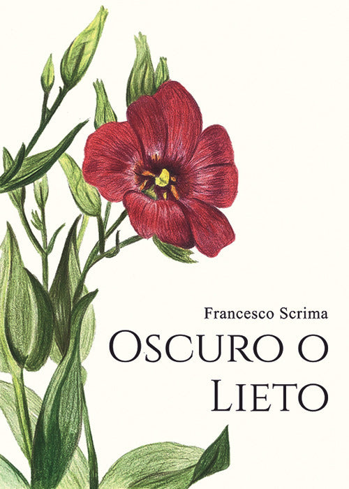 Cover of Oscuro o lieto