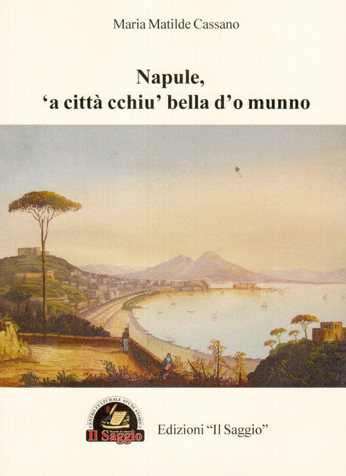 Cover of Napule, 'a città cchiu' bella d'o munno