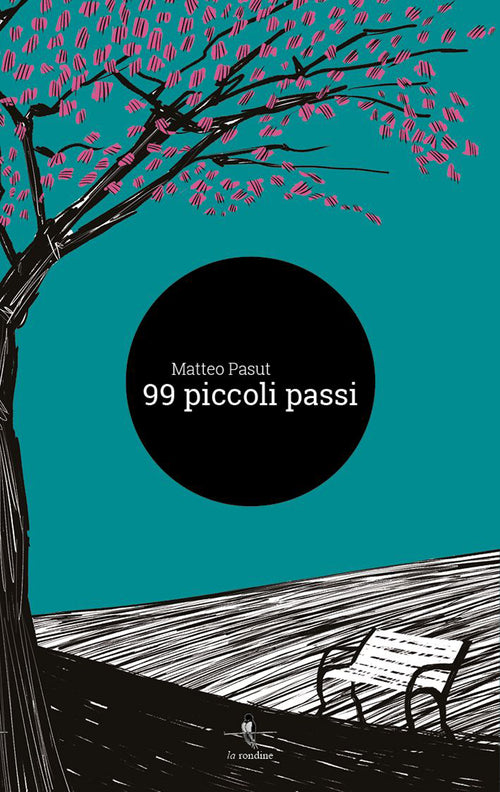 Cover of 99 piccoli passi
