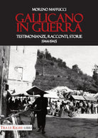 Cover of Gallicano in guerra. Testimonianze, racconti, storie 1944-1945