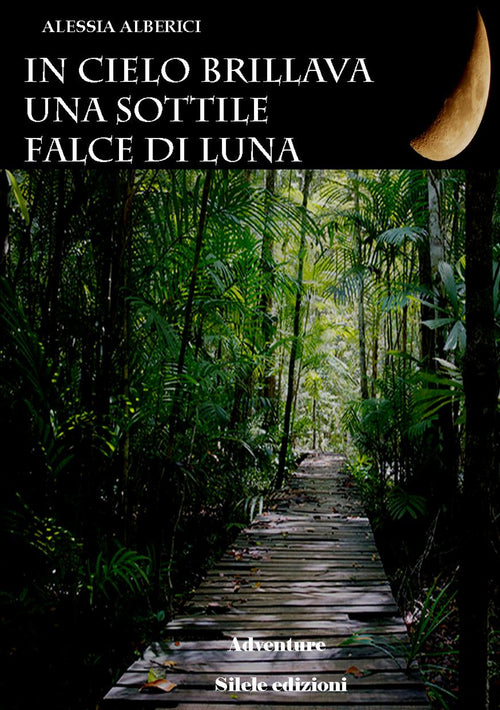 Cover of In cielo brillava una sottile falce di luna