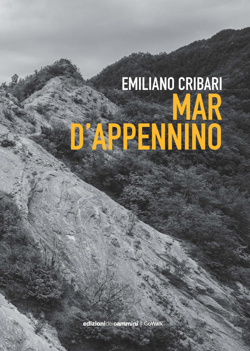 Cover of Mar d'Appennino