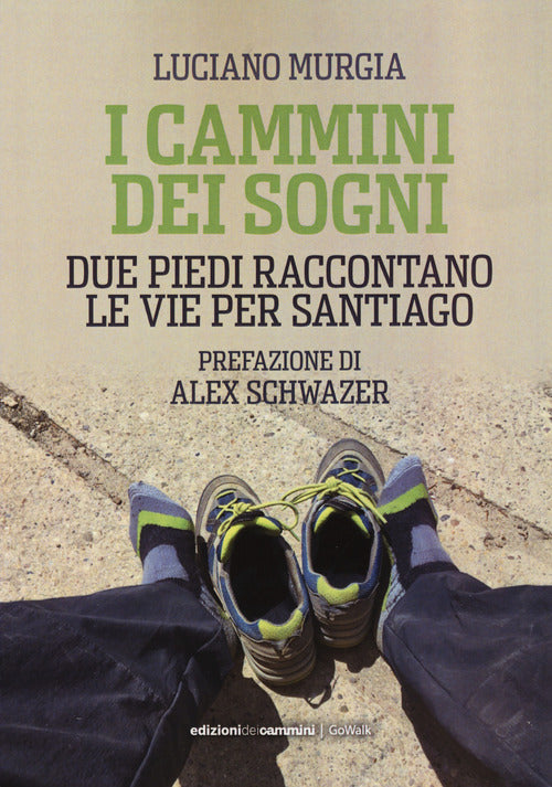 Cover of cammini dei sogni. Due piedi raccontano le vie per Santiago