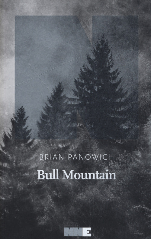 Cover of Bull Mountain