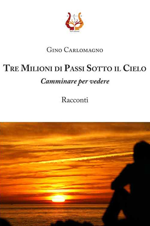 Cover of Tre milioni di passi sotto il cielo. Camminare per vedere