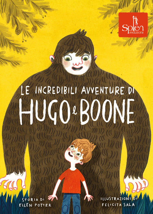 Cover of incredibili avventure di Hugo e Boone