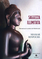 Cover of Saggezza illimitata. Manuale per la pratica del Mahàmudrà